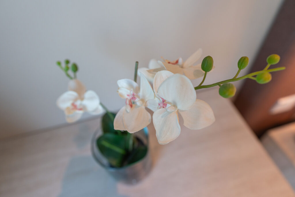 Beach Access | 5* Hotel Facilities | Sea View